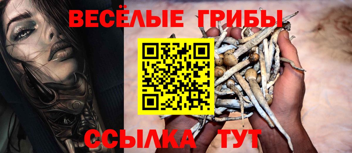 Псилоцибиновые грибы ЛСД Щёлково